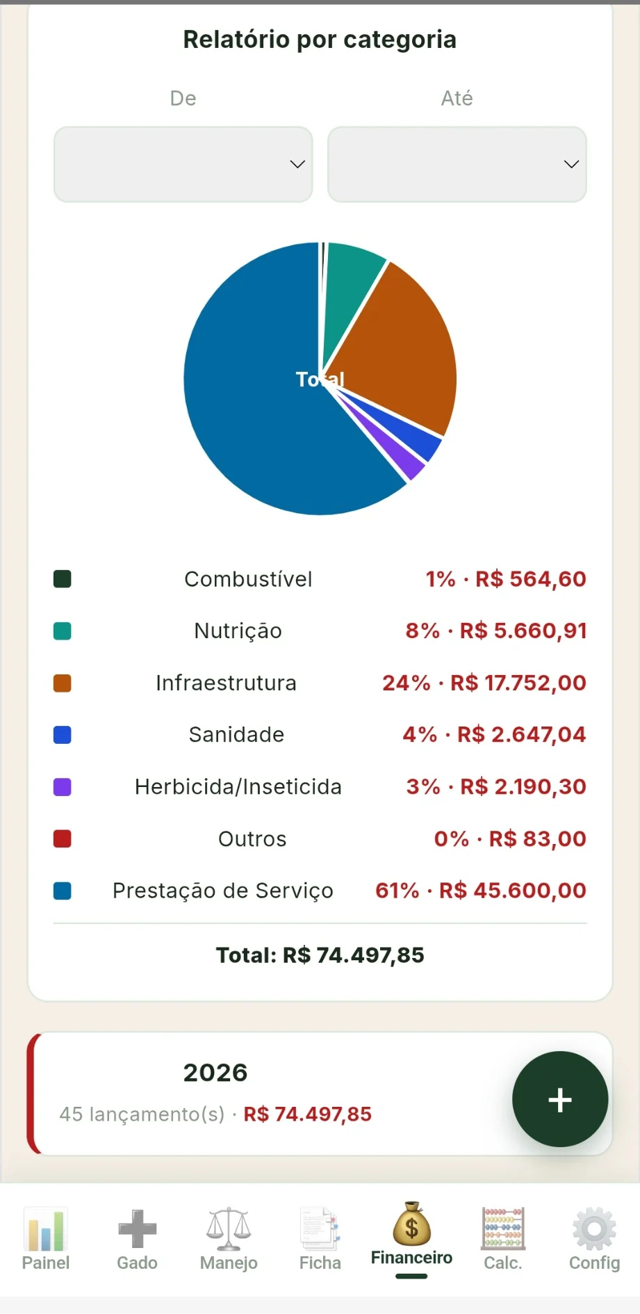 Relatório financeiro real por categoria